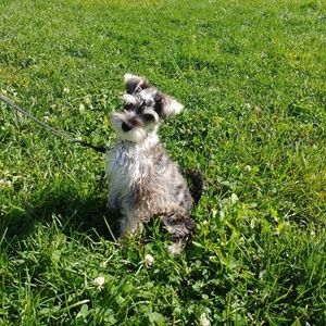 Meet your Posher, Corinne